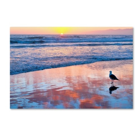 Lori Hutchison 'Venice Beach Sunset' Canvas Art,12x19